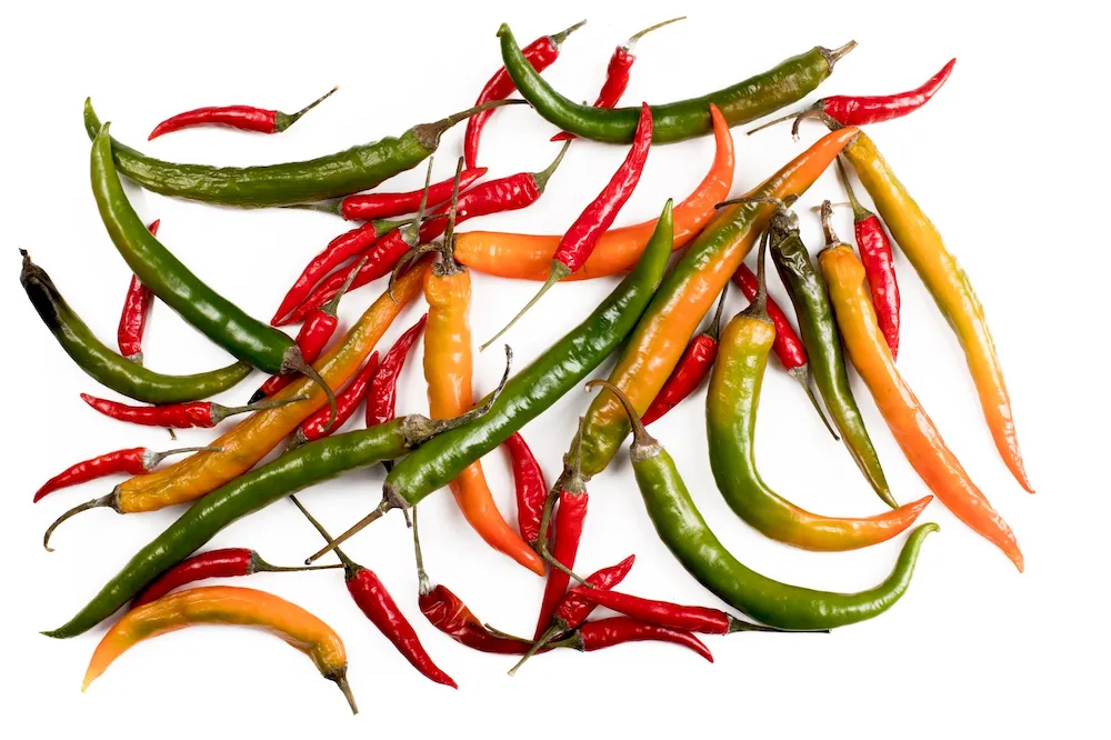 Color Sorter & Cleaning